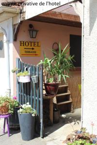 ein Hotel mit Topfpflanzen außerhalb eines Gebäudes in der Unterkunft Hôtel le Dervois in Montier-en-Der