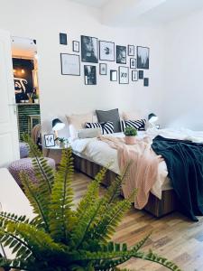 ein Schlafzimmer mit einem Bett und einer Pflanze in der Unterkunft Apartment Take a breath in Vrnjačka Banja