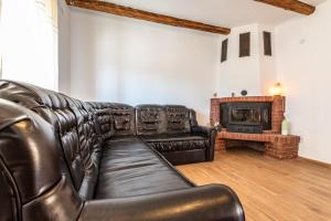 a leather couch in a living room with a fireplace at La Tusa Dusa in Ocolişu Mic