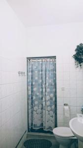a bathroom with a shower with a toilet and a sink at Kwatery w Gołdapi in Gołdap