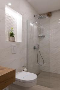 La salle de bains est pourvue de toilettes et d'une douche en verre. dans l'établissement Old town Marko, à Dubrovnik