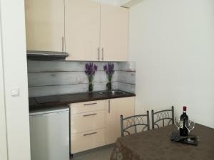 Kuchyň nebo kuchyňský kout v ubytování Apartman Mario