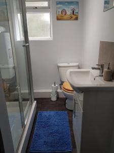 a bathroom with a toilet and a shower with a blue rug at The Old Post Box in Leeds