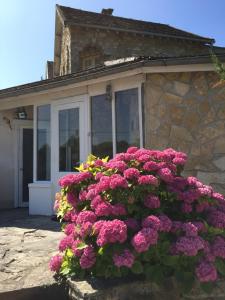 a bush of pink flowers in front of a house at Maison en bord de seine in Boissise-le-Roi