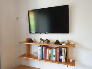 TV a/nebo společenská místnost v ubytování Apartmenthaus Fa