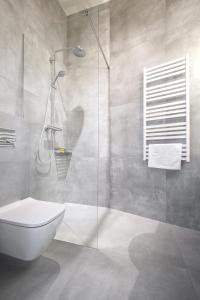W łazience znajduje się toaleta i przeszklony prysznic. w obiekcie Loft Apartments Poznań w Poznaniu