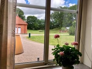 Aed väljaspool majutusasutust Pensionat Söderåsen