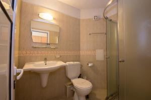 a bathroom with a toilet and a sink and a mirror at Семеен хотел Бриз in Sozopol +69 photos