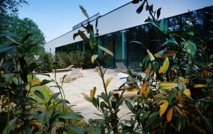 Zahrada ubytování Marienkron - Retreat & Health Resort