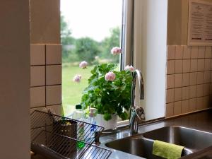 Foto sihtkohas Ljungbyhed asuva majutusasutuse Pensionat Söderåsen galeriist +37 fotot
