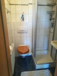 a small bathroom with a toilet and a shower at Hanslbauernhof in Moosbach