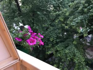 Vonkajšia záhrada v ubytovaní Rent0nline Hoża Apartment Center Metro