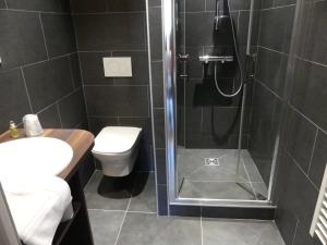 W łazience znajduje się prysznic, toaleta i umywalka. w obiekcie Hôtel Viallet w mieście Arêches