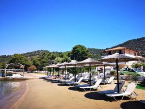 a row of chairs and umbrellas on a beach at Neorio Studios in Poros