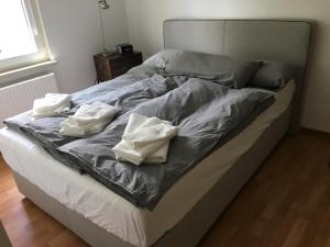 - un lit sans lit avec 2 oreillers dans l'établissement Ferienwohnung über dem Ilmpark, à Weimar