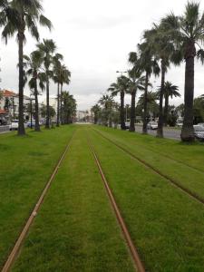 a park with palm trees and tracks in the grass at Studio Californie in Nice