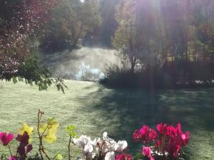 Fotografie z fotogalerie ubytování Spruce Lake v destinaci Sauviat-sur-Vige