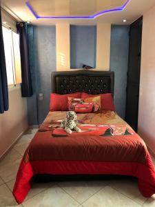 Agadir nʼ Aït SaにあるBeau Duplex à Imi ouaddarのベッドルーム1室(ベッド1台、テディベア付)