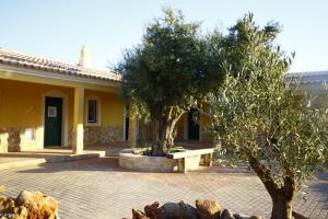 Κήπος έξω από το Quinta do Mocho Turismo Rural