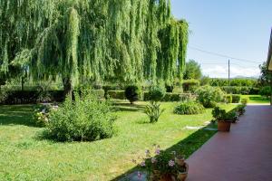Zahrada ubytování Agriturismo Terra Di Elea azienda agricola di Raimondo MIchela