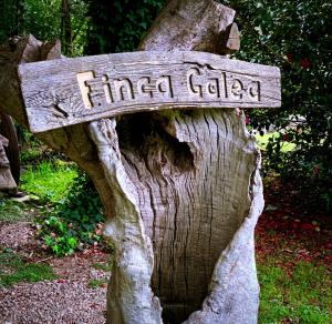 Fotografie z fotogalerie ubytování Finca Galea v destinaci Carballido