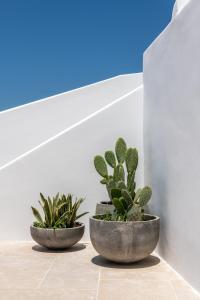 Foto da galeria de Avra Mykonos em Tourlos