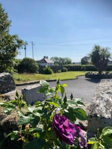 Loodusmaastik of the bed and breakfast lähedal