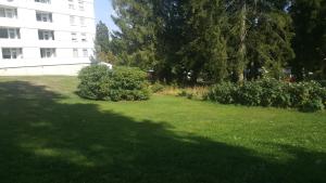 Ein Garten an der Unterkunft Hahnenklee Ferienpark 7-611