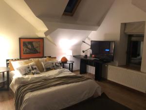 TV a/nebo společenská místnost v ubytování Rhotels
