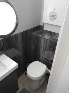 a bathroom with a toilet and a sink and a mirror at Apartament Na Wodzie in Ruciane-Nida