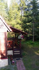 Zahrada ubytování Chatka Nad Strumieniem + 31 fotografií