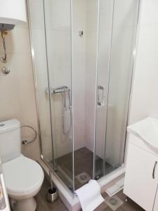 a bathroom with a shower and a toilet at Dolores Apartments in Petrovac na Moru +41 photos
