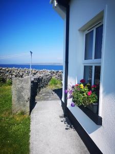 Loodusmaastik of the country house lähedal