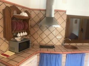 cocina con fregadero y microondas en Alojamiento Rural '' Los Ciruelillos'', en Trevélez