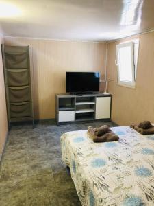 a room with two beds and a flat screen tv at Дача у моря in Vapnyarka