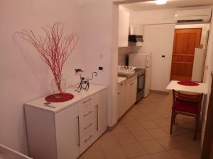 Zdjęcie z galerii obiektu Studio Bubi w Koprze