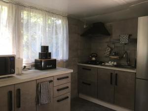 a kitchen with a counter with a microwave and a window at Дача у моря in Vapnyarka
