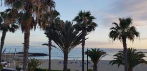 una vista di una spiaggia con palme e l'oceano di Bubu Beach 2-A a Los Cristianos