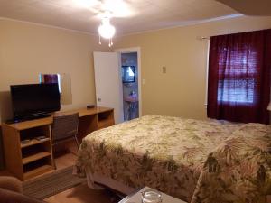 TV a/nebo společenská místnost v ubytování Regent Motel