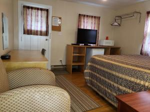 TV a/nebo společenská místnost v ubytování Regent Motel