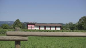Příroda nedaleko bed and breakfast