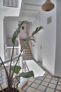 Fotografie z fotogalerie ubytování Riad Borj El Baroud v destinaci Essaouira