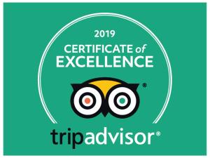 a certificate of excellence logo with an owl at Bellevue Boutique Lodge in Taupo