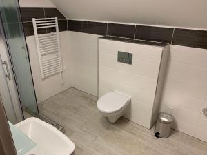 a bathroom with a toilet and a glass shower at Mikulov Inn - Apartments Slunce in Mikulov