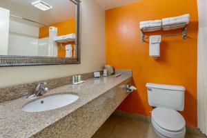 a bathroom with a sink and a toilet and a mirror at Quality Inn Auburn Campus Area I-85 in Auburn