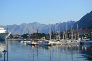 a bunch of boats are docked in a harbor at Apartments Qualitas in Kotor