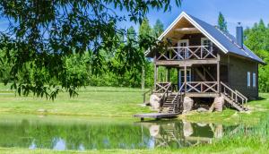 a tree house on the edge of a pond at Alkūnų sodyba in Molėtai