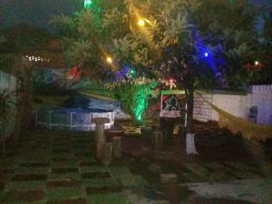 a park at night with a tree and lights at Urban Hostel in Pedro Juan Caballero