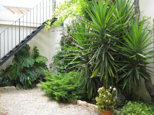 Zahrada ubytování Casa rural ca l'Antoni (Tarragona)