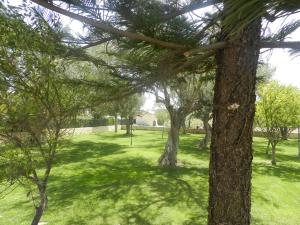 un grupo de árboles en un parque con césped verde en Tenuta Arangio Agriturismo Vendicari, en Casa Maccari